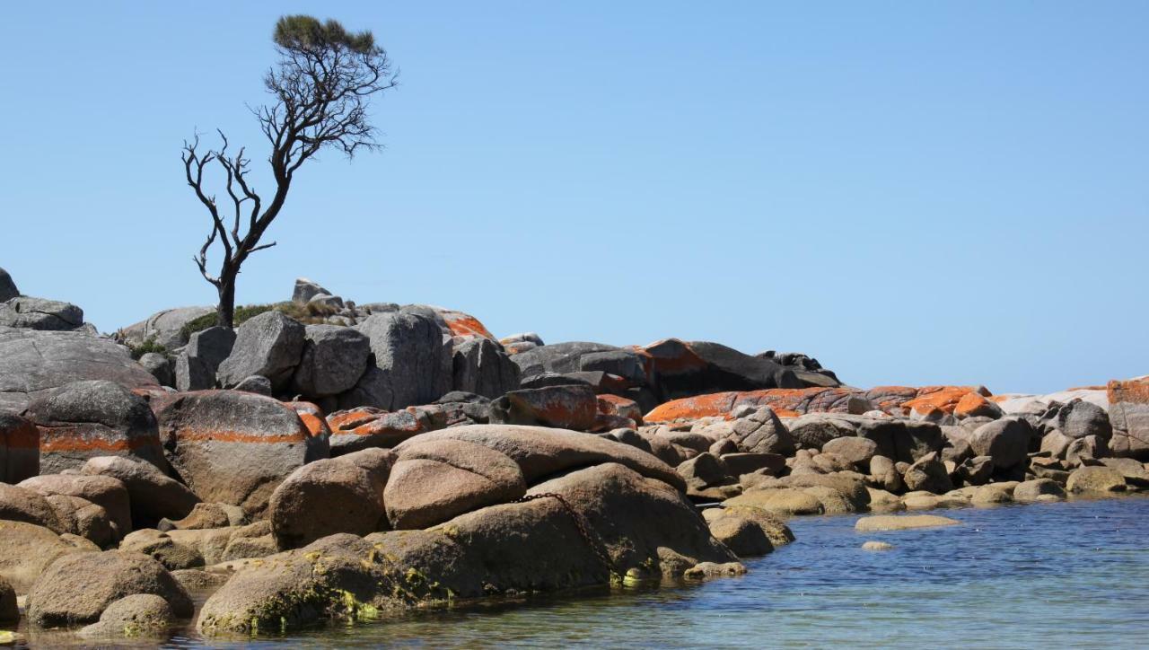 Bay Of Fires Seachange Ocean Frontage Binalong Bay Kültér fotó